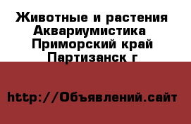 Животные и растения Аквариумистика. Приморский край,Партизанск г.